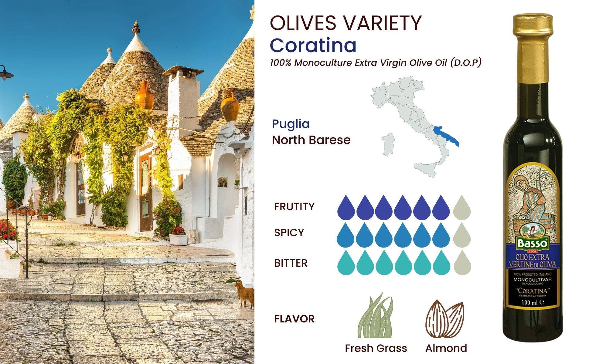 Wholesale Italian Food - Wholesale Olive Oil - Basso 1904 Extra Virgin Olive Oil Limited Edition Gift Set (5 x 100 ml)3