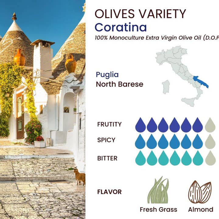 Wholesale Italian Food - Wholesale Olive Oil - Basso 1904 Extra Virgin Olive Oil Limited Edition Gift Set (5 x 100 ml)3