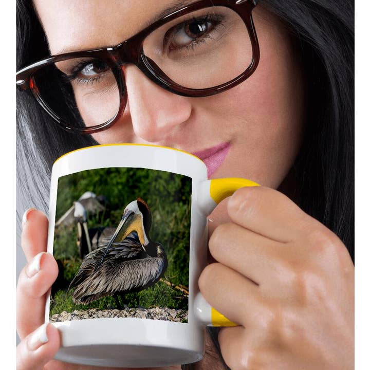 3dRose - Wholesale Coffee Mug - 3dRose, Brown Pelicans, Pelecanus occidentalis, preening., Mug1