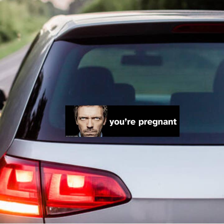 Frog Mustard Stickers – wholesale Sticker – MD Gregory House Meme "You're Pregnant" Sticker or Magnet | Satire | 8.5" x 2.5" Premium Weather-proof Vinyl1
