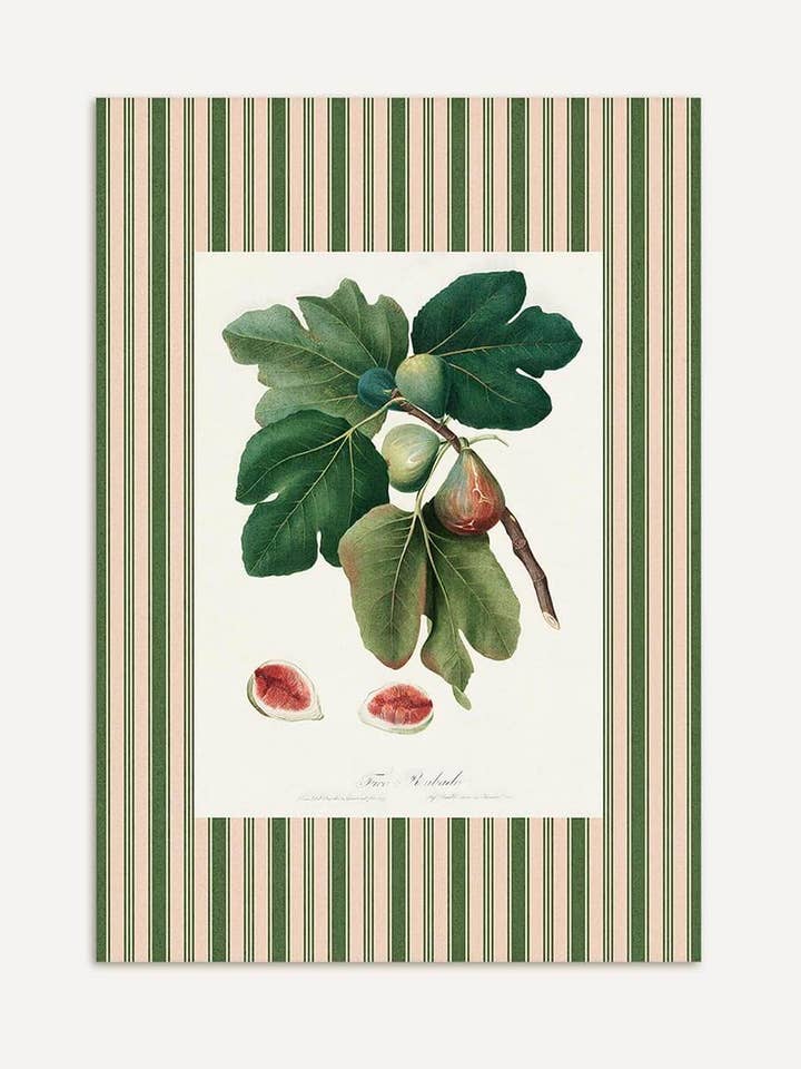 Botanisk figenkunsttryk i retrostil for engroshandel hos Modern Antique Prints