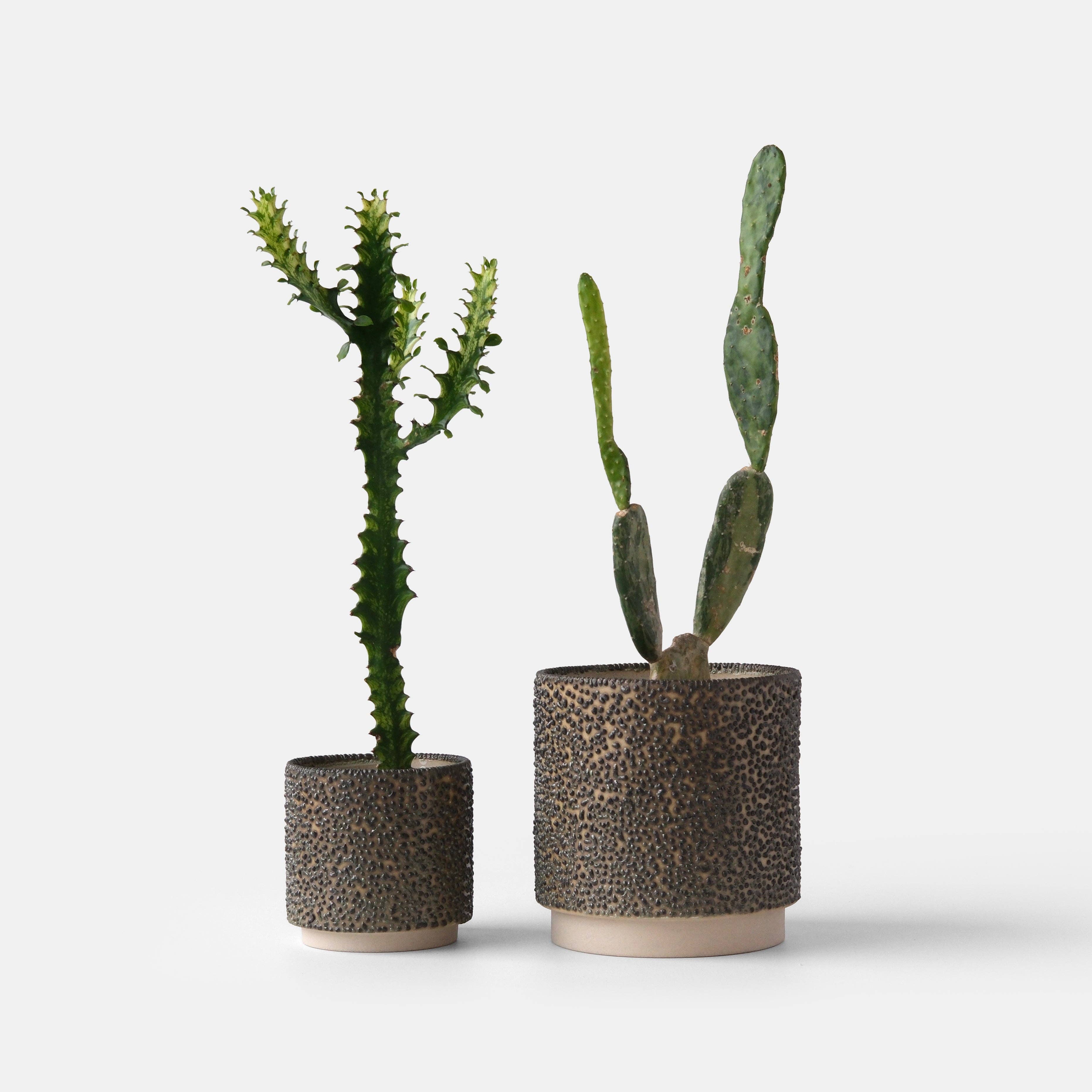 Misewell - Wholesale Plant Pot - Kolo (Gloopy) Planter5