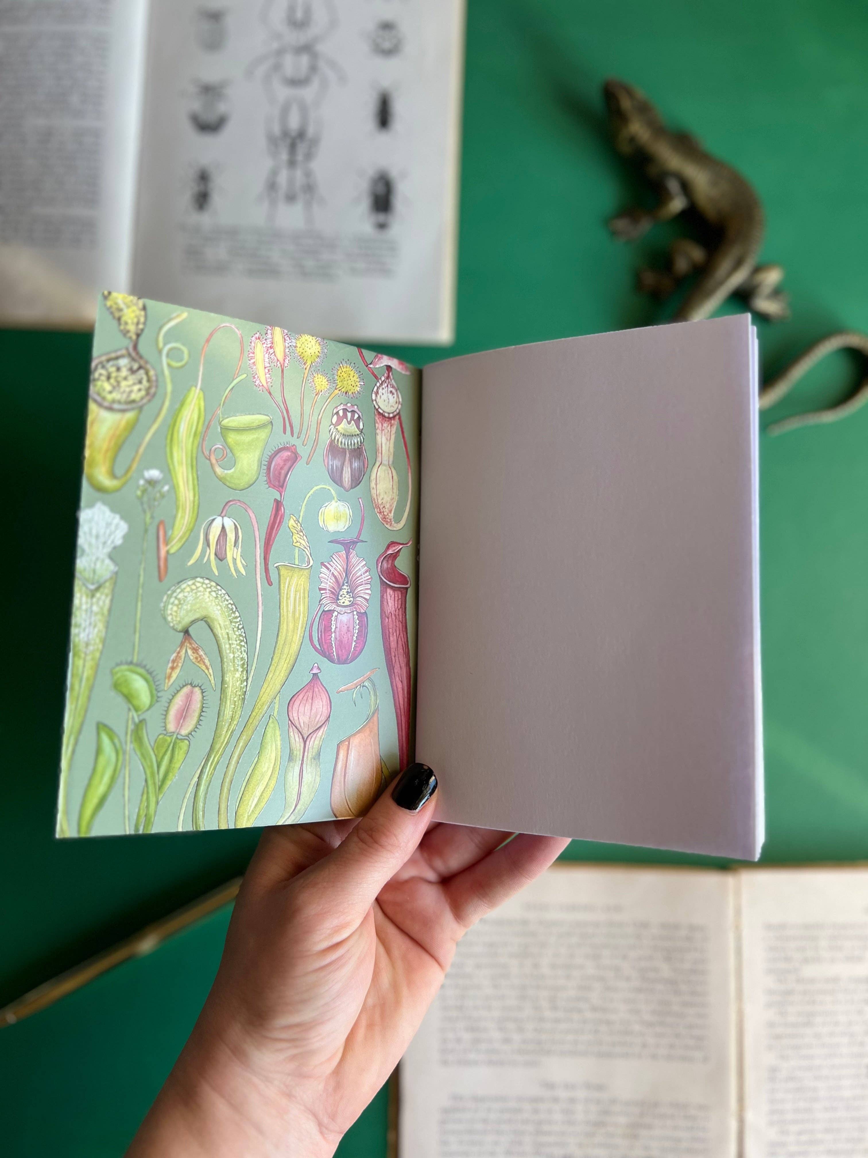 Tansy Moore - Vente Cahiers - Ensemble de carnets de poche Plantes8