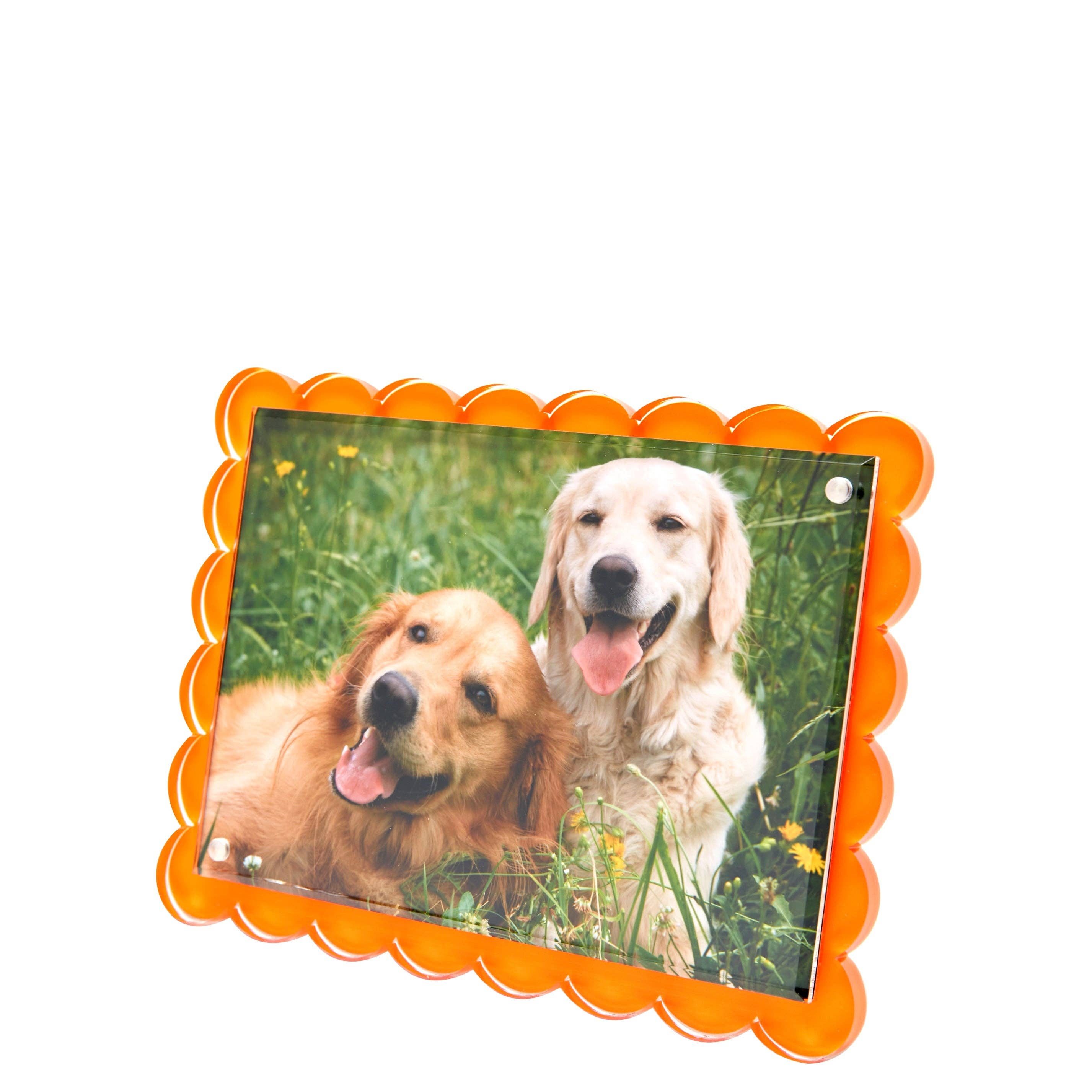 Tara Wilson Designs - Vente Cadres photos - Cadre festonné orange1