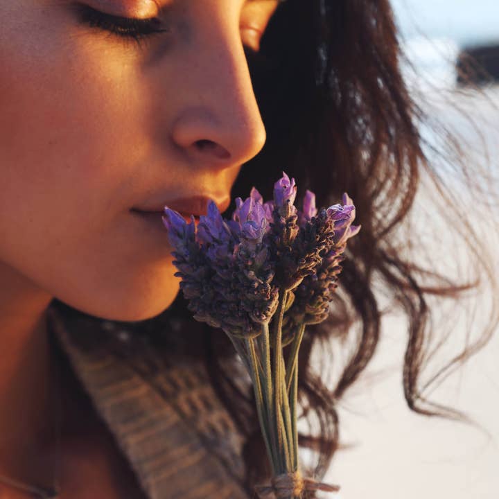 DR.AV SKINCARE - Wholesale Hand Cream/Lotion - FRENCH LAVENDER HAND SERUM2