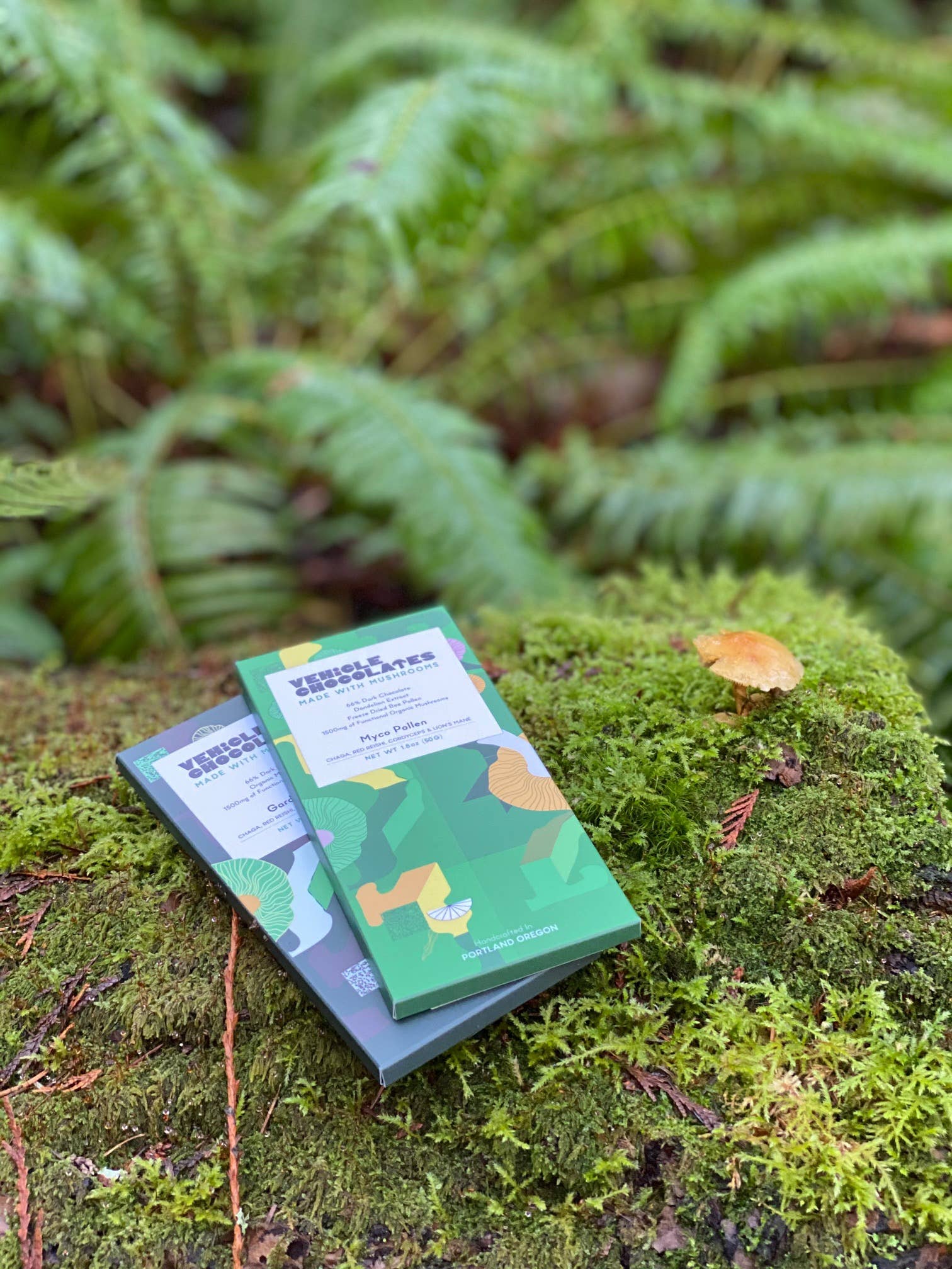 Vehicle Chocolates - Wholesale Chocolate Bar - Myco Pollen - Dark Chocolate Mushroom Bar4