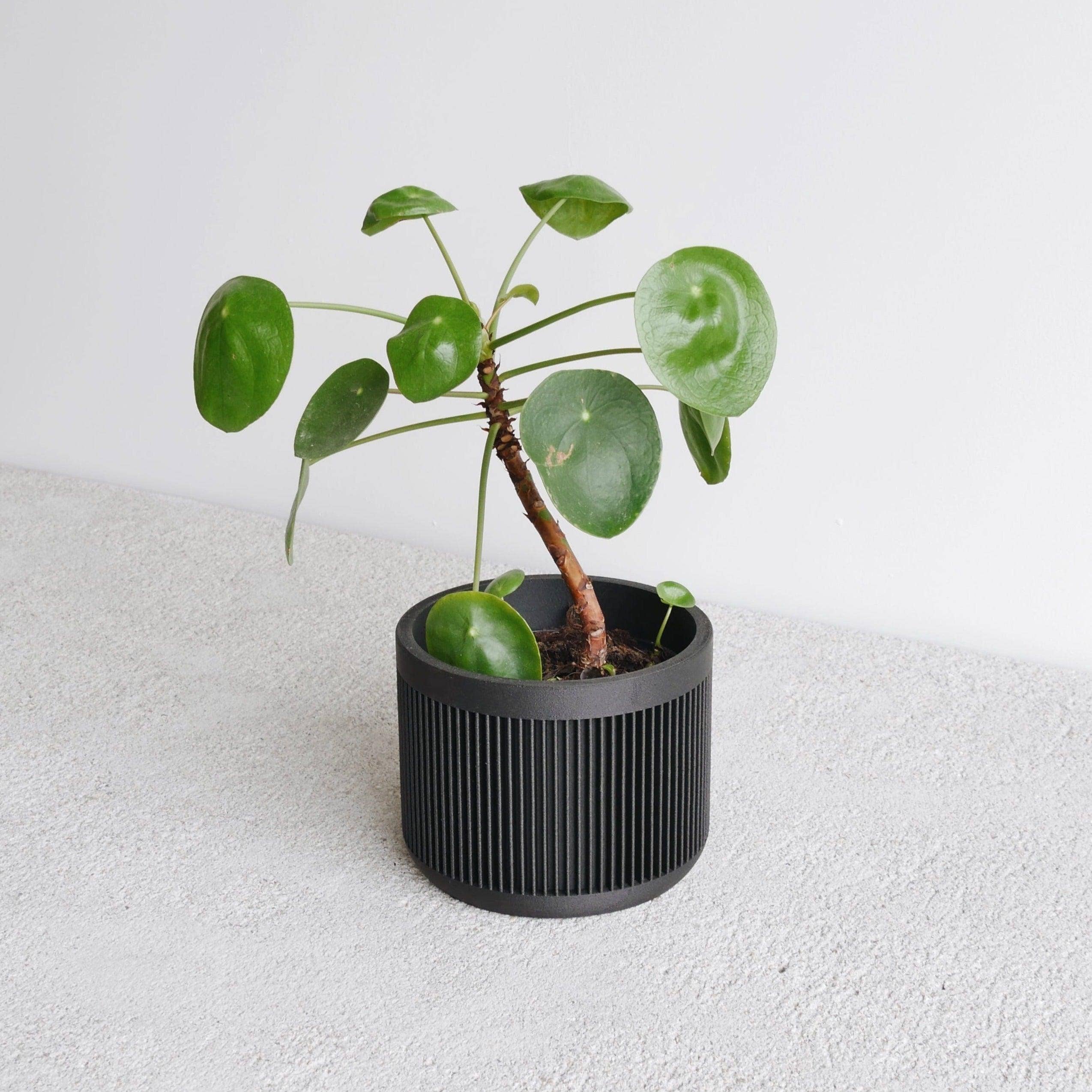 MINIMUM DESIGN - Wholesale Plant Pot - Indoor Plant House - Beige, Black, Green, Mist white, Terracotta - JAPAN7