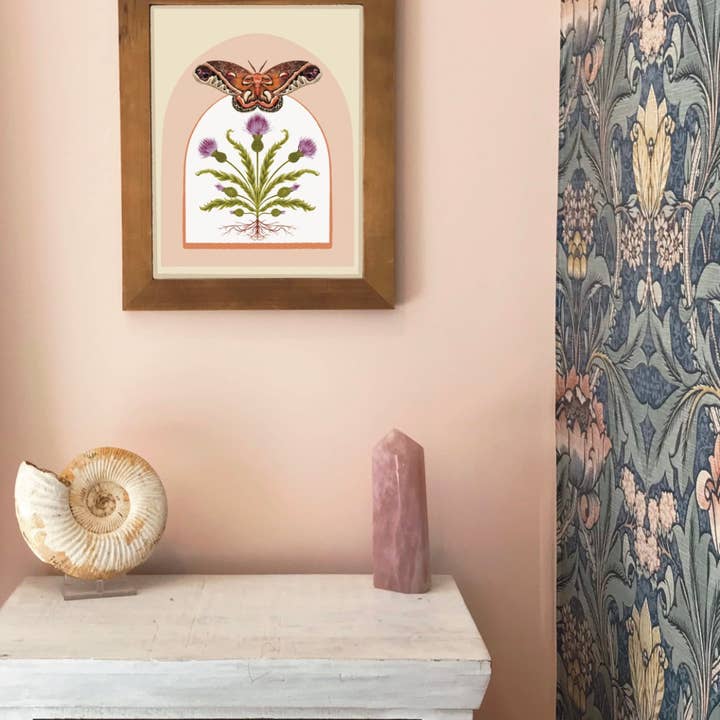 Folk Meadow - Wholesale Art Print - Cecropia Moth & Thistle Print - 8x103