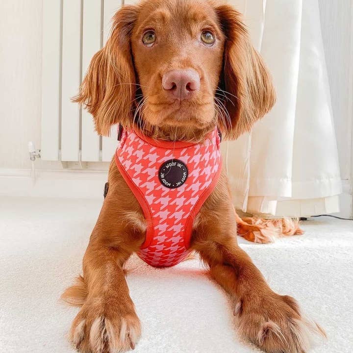 WOOF INC - Wholesale Pet Harness - Dog - Red & Pink Houndstooth Adjustable Dog Harness3