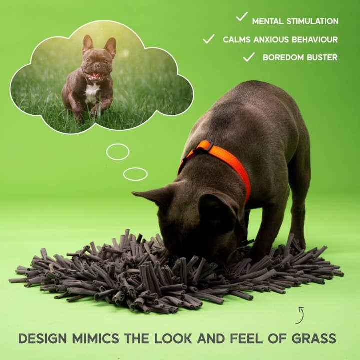 PAW5 - Vendita all'ingrosso Tappetino sottociotola per animali - Cane - Tappetino Paw5 Wooly Snuffle - Grigio