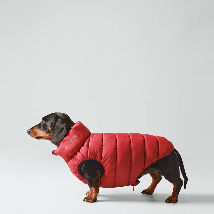 Hugo & Hudson - Wholesale Pet Jacket - Dog - Hackett x Hugo Hudson Dog Puffer Jacket - Navy & Berry