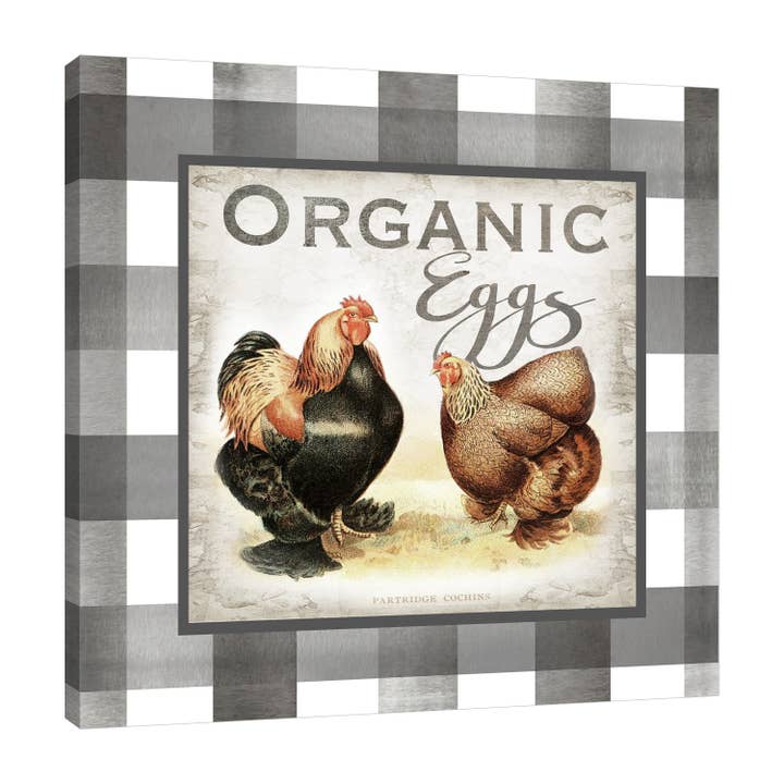 Toile enveloppée Buffalo Check Oeufs Bio Galerie pour la vente par Jaxson Rea