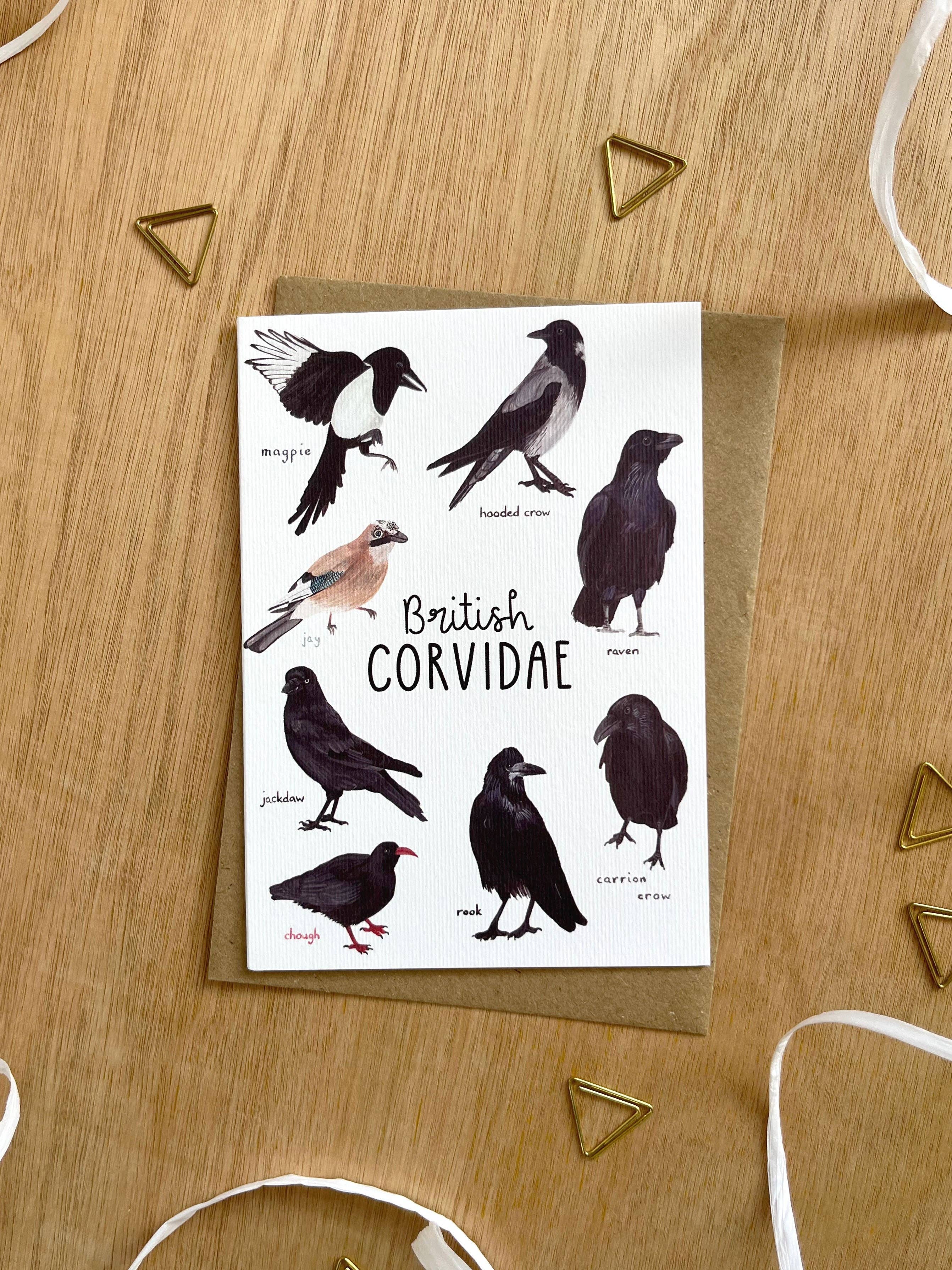 This Thursday - Venta al por mayor Tarjetas de felicitación - Tarjeta británica de córvidos2