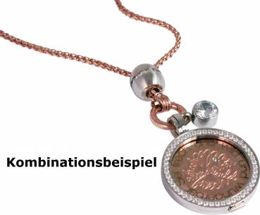 Style Republic - Carsten Maletz – wholesale Pendant/charm necklace – Coins carrier in gold with set cubic zirconia1