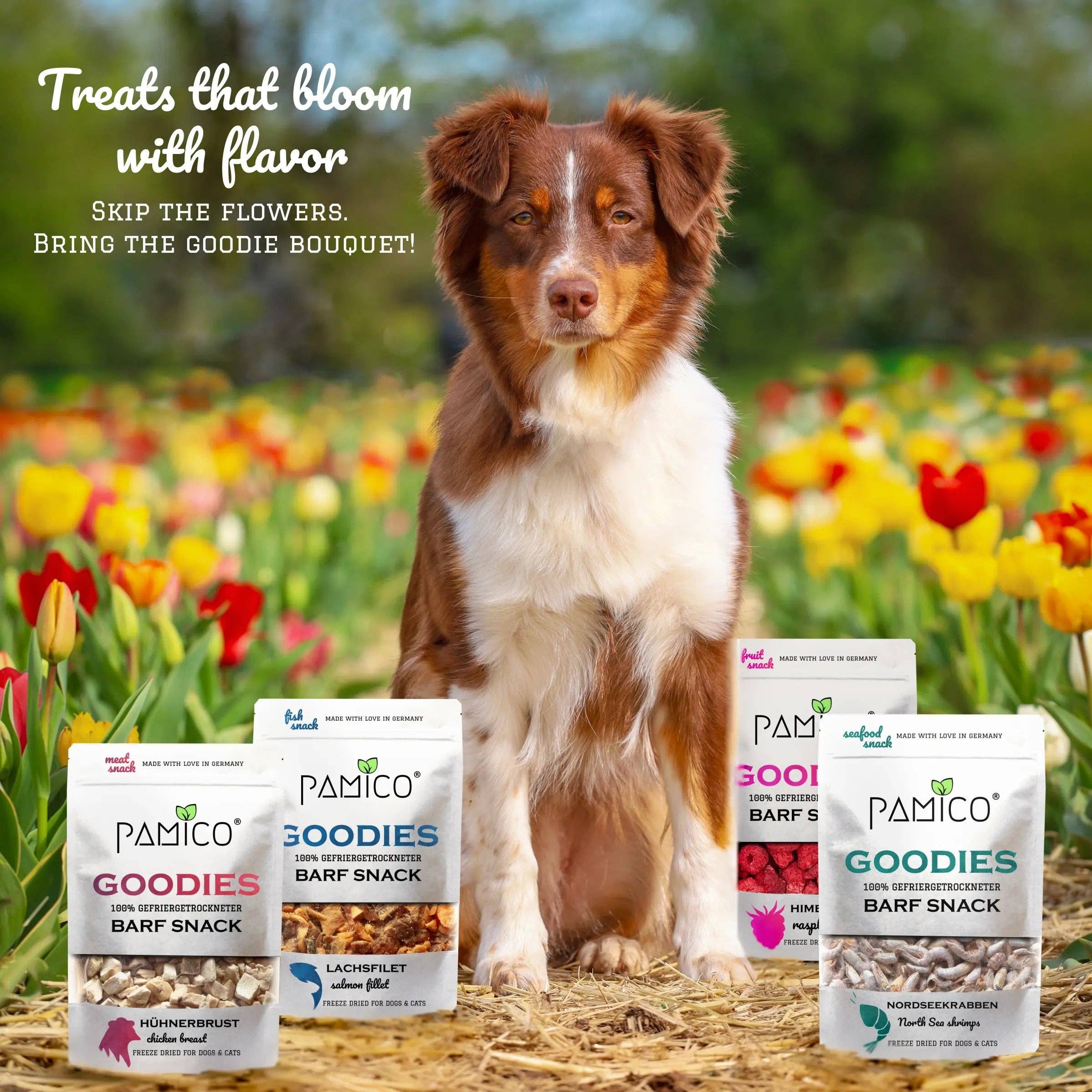 PAMICO - Wholesale Pet Treats - Dog - Freeze-dried pig hearts for dogs & cats - 100% natural, protein-rich snack without additives1