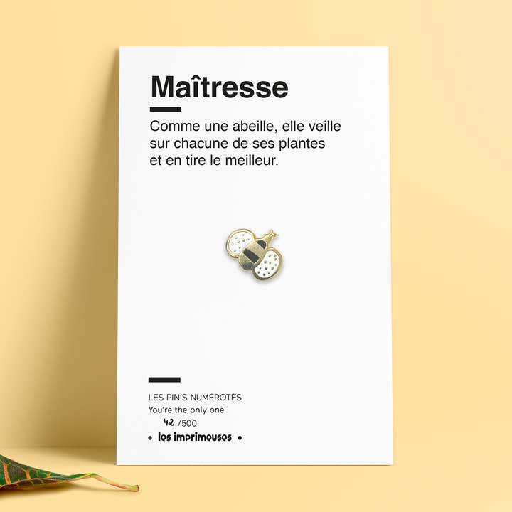 Spilla - Ape - Maestra / Maestro - Speciale fine anno scolastico per la vendita all'ingrosso da parte di LES IMPRIMEUSES