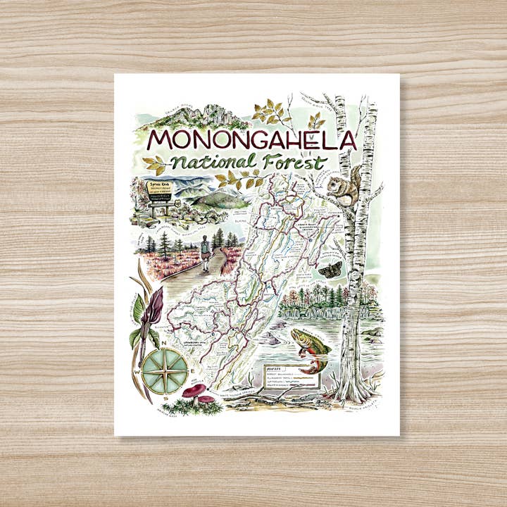 Monongahela National Forest Map - Watercolor Art Print for wholesale by Rosalie Haizlett Illustration