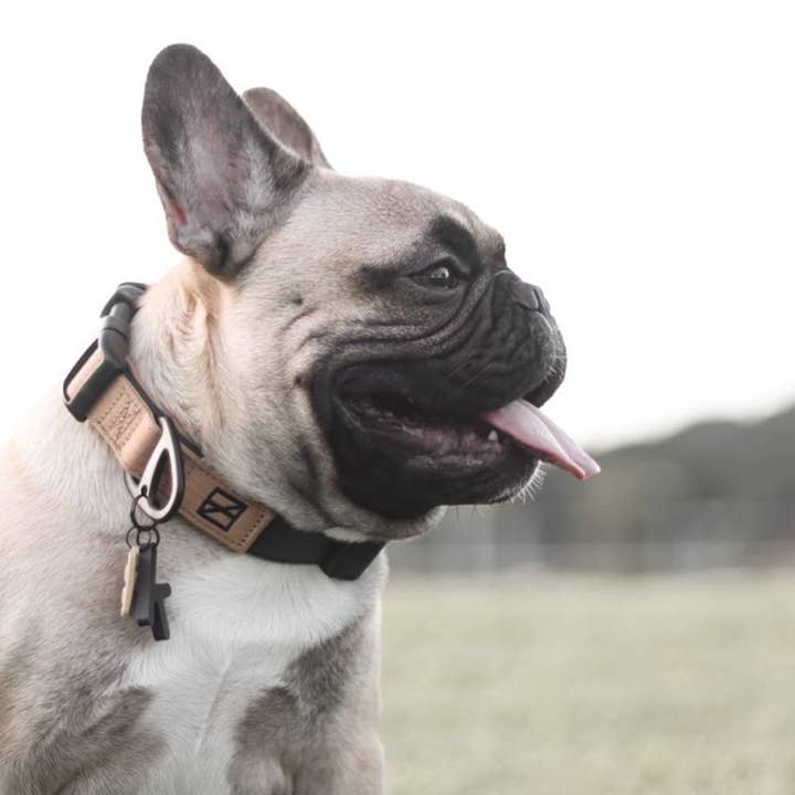 Herzog - Wholesale Pet Collar - Dog - Black Collar - Recycled Ripstop1