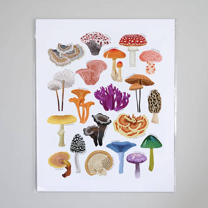 Fungi & Mushrooms - Educational Nature Art Print for wholesale by Beehive 95 Designs