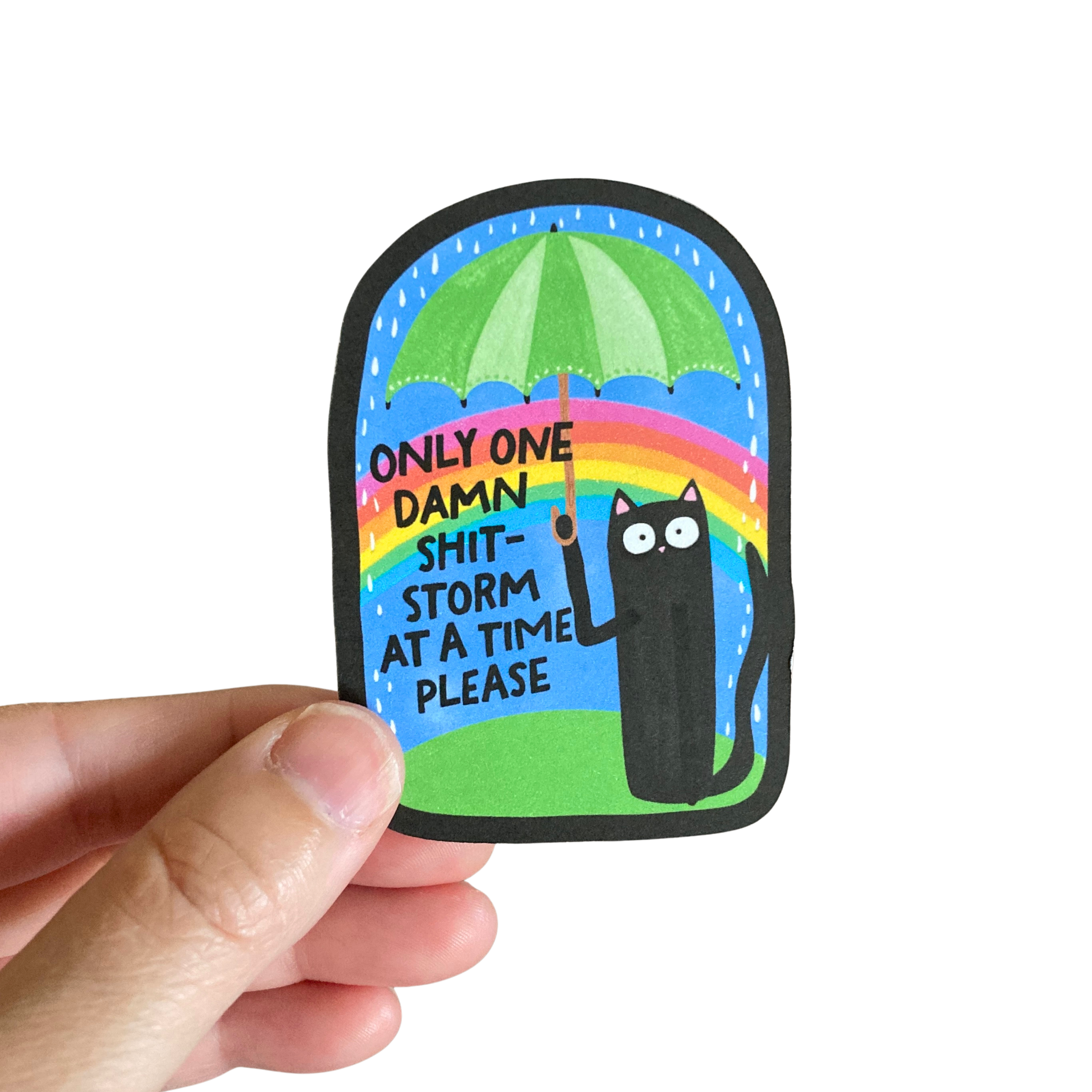 PartyHappier - Wholesale Sticker - Only One Damn Shit Storm At A Time Please Vinyl Sticker2