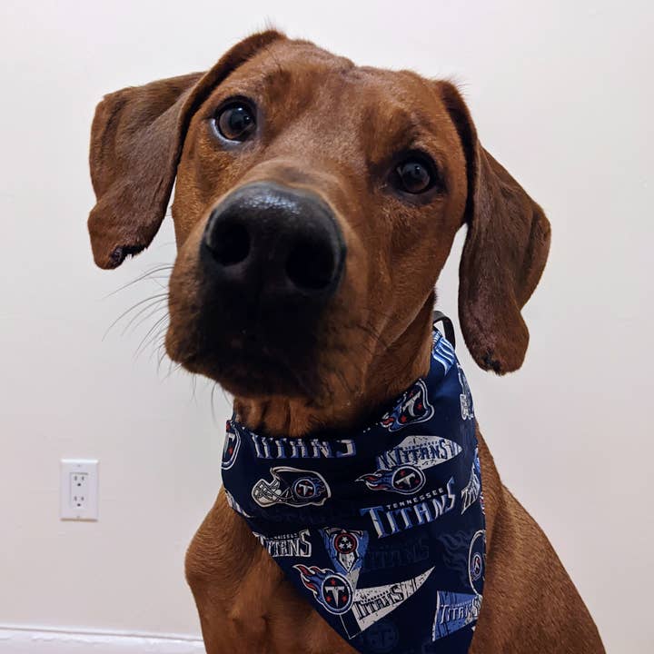 Koa's Ruff Life – Engroshandel Bandana - Hund – Tennessee Titans Bandana - Fodboldsamling0