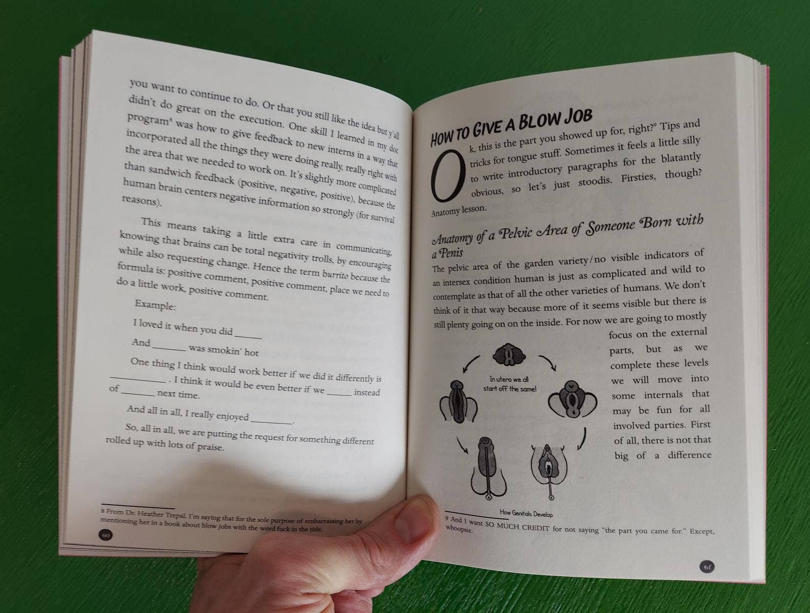 Microcosm Publishing & Distribution - Wholesale Romance Novel - Unfuck Your Blow Jobs: How to Give and Receive Glorious Head1