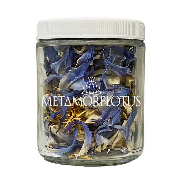 Egyptian True Blue Lotus Flower Tea for wholesale by METAMORFLOTUS