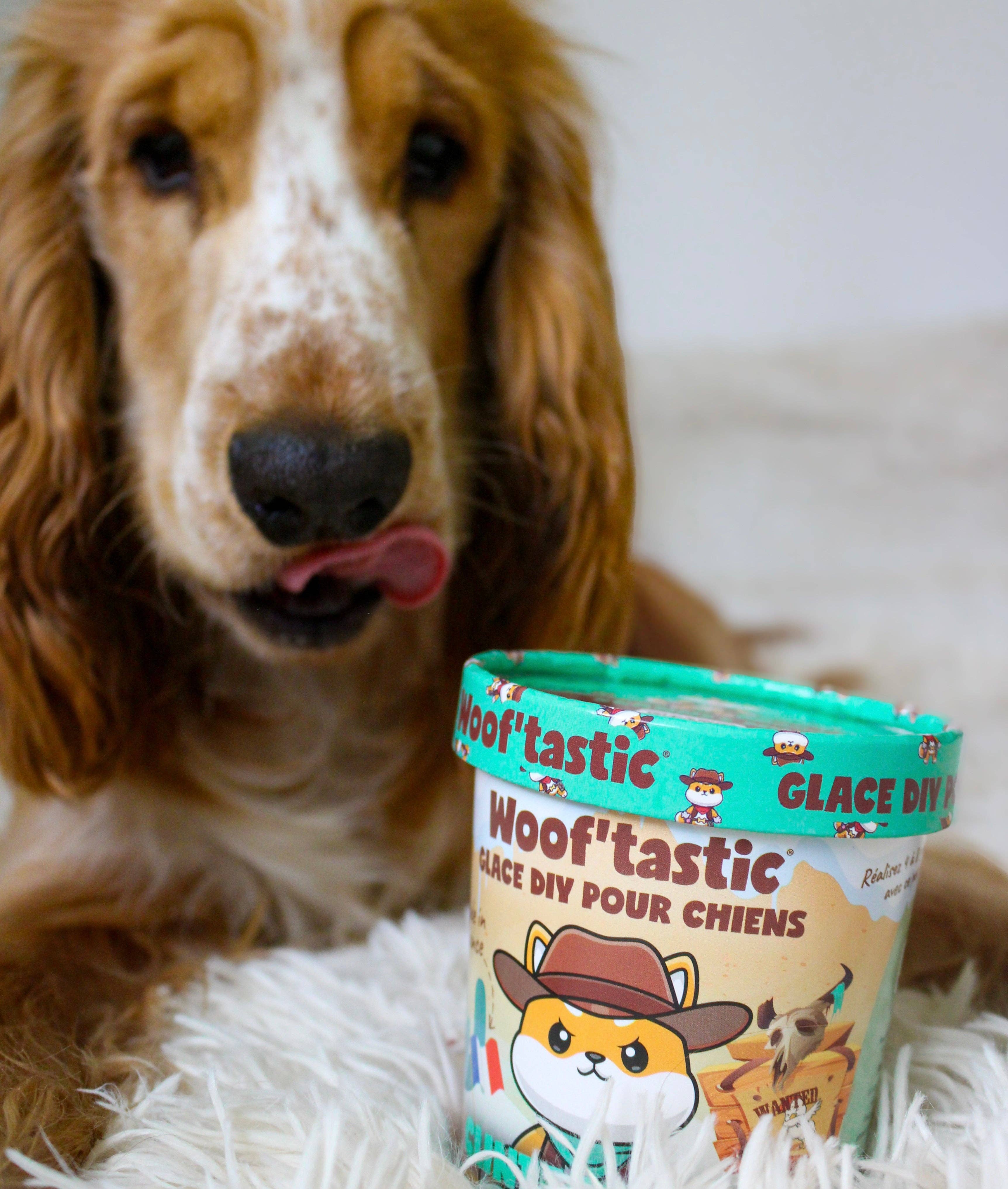 Woof’tastic - Wholesale Pet Treats - Dog - ClintEast’Dog – DIY Chicken Ice Cream for Dogs - 80G1