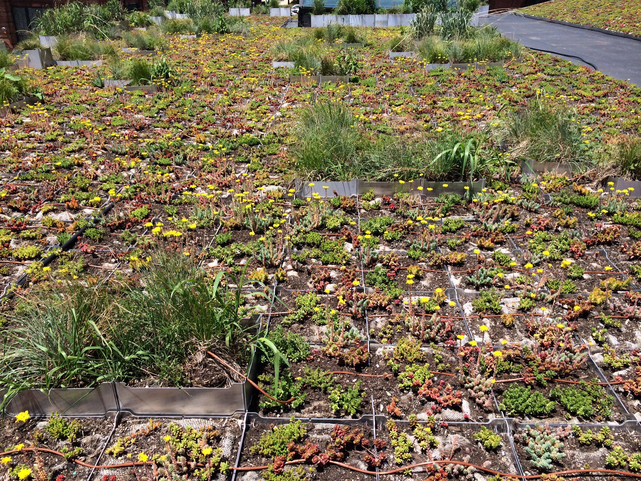 Shift - Wholesale Planter Box - Fairmount Tile Planter3