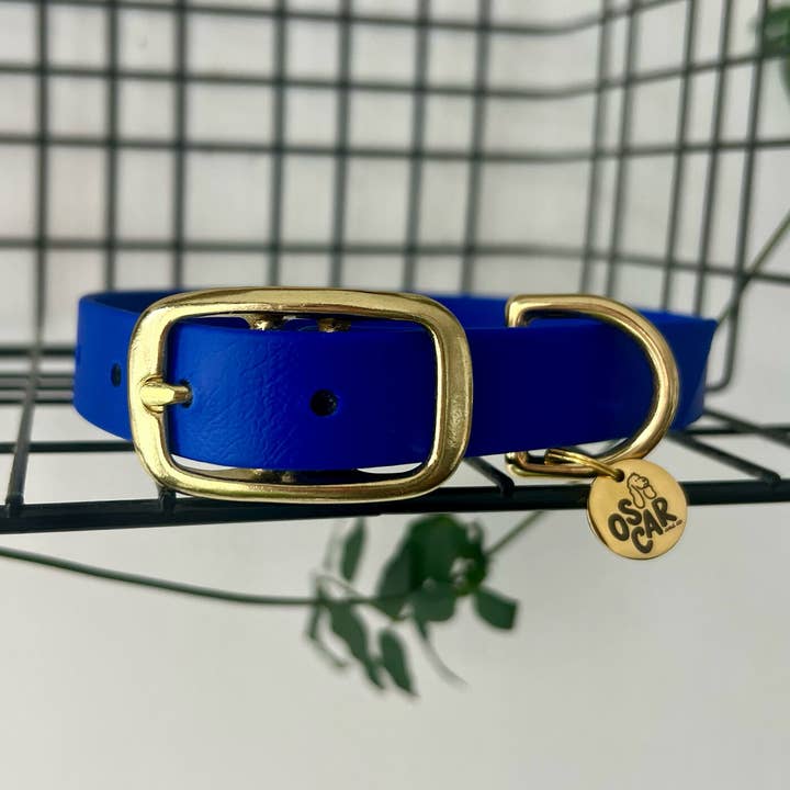 Waterproof royal blue Biothane dog collar for wholesale by Oscar & co