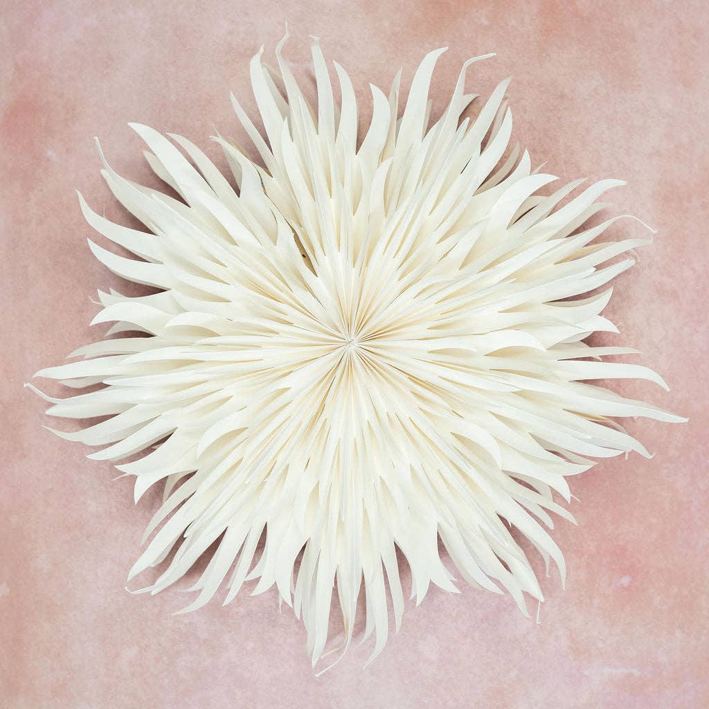 Bollywood Christmas – wholesale Wall Accent – Peony White Paper Wall Decoration - 70cm3