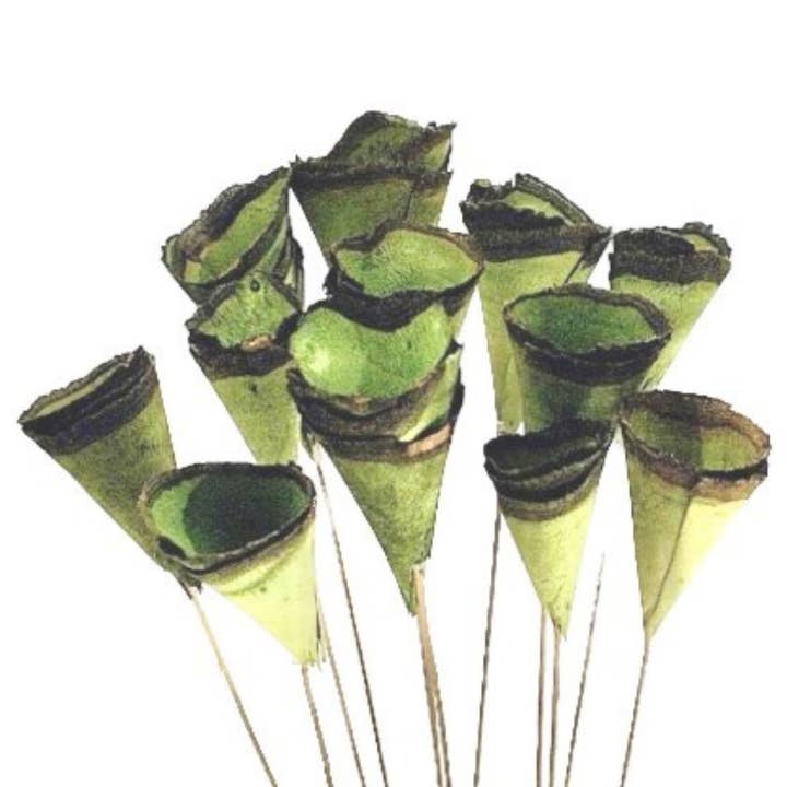 Botanico Ltd. – wholesale Artificial flowers – Wood Cones13