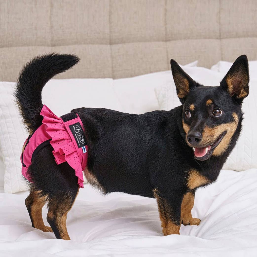 FINNERO – wholesale Husdjursblöja - Hund – FINNERO Ballerina hundhygienbyxor, 5 färger, tvättbara9