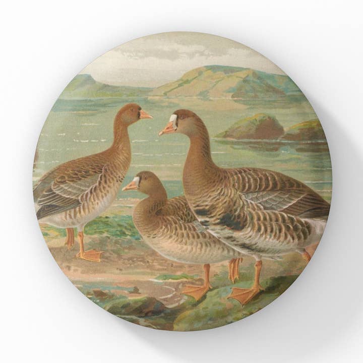 Alfiler de ganso, Llavero de ganso, Imán de ganso para venta al por mayor de NatureCuts