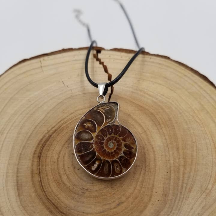 CHAKRA JEWELRY - Wholesale Pendant/Charm Necklace - Natural Conch Fossil Necklace