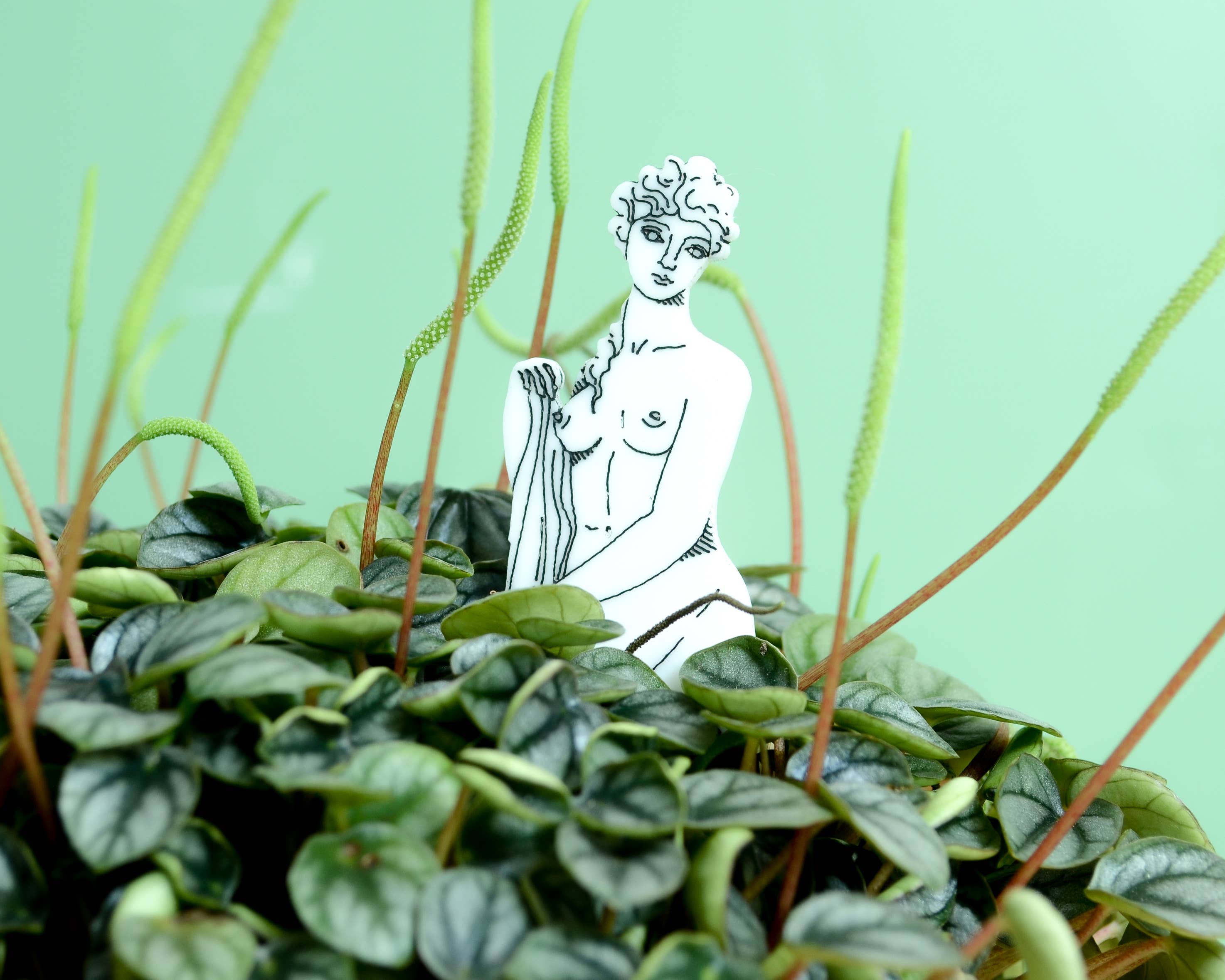 Button and Fern - Wholesale Garden/Lawn Stake - Classical Statue Plant Stakes Set - 5 Acrylic Garden Markers3