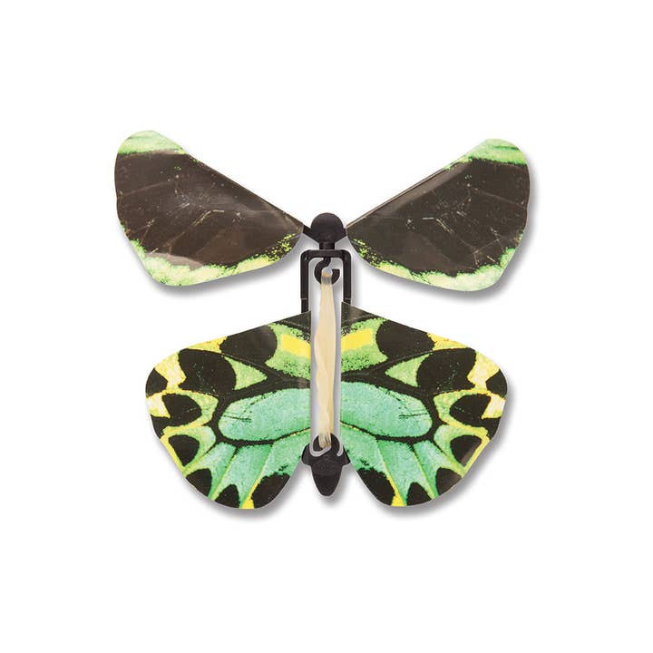 Heebie Jeebies USA - Wholesale Wind-Up Toy - Kids - Windup Aussie Butterflies Toys4