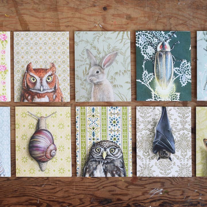 Emily Uchytil - Wholesale Everyday Greeting Card - Goliath Beetle - Note Card10