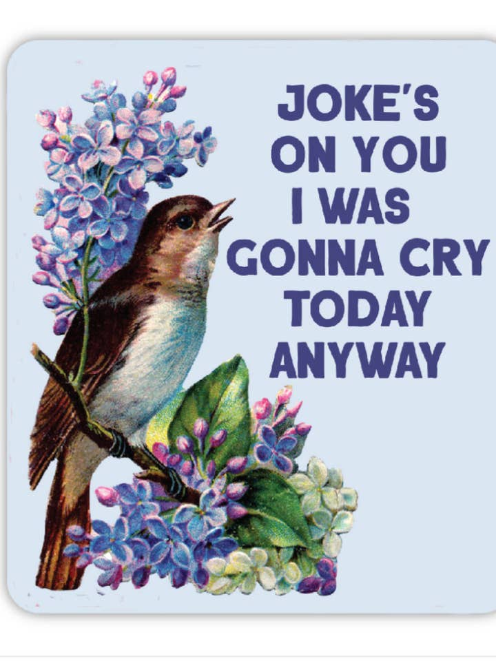 Joke's on You I was Gonna Cry Today Anyway Sticker for wholesale by The Coin Laundry