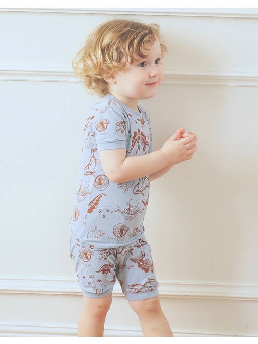 Blue Grey Dinosaur Museum Viscose Short Sleeve PJs for wholesale on Faire5