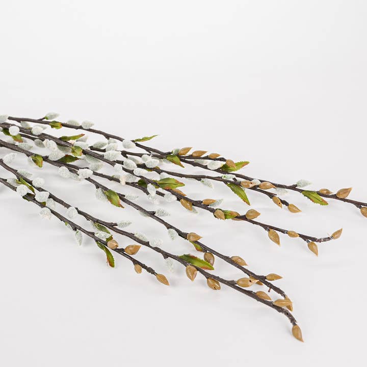 Branche de Saule Marsault 36" | 24 Tiges | Gris pour la vente par Dried Decor