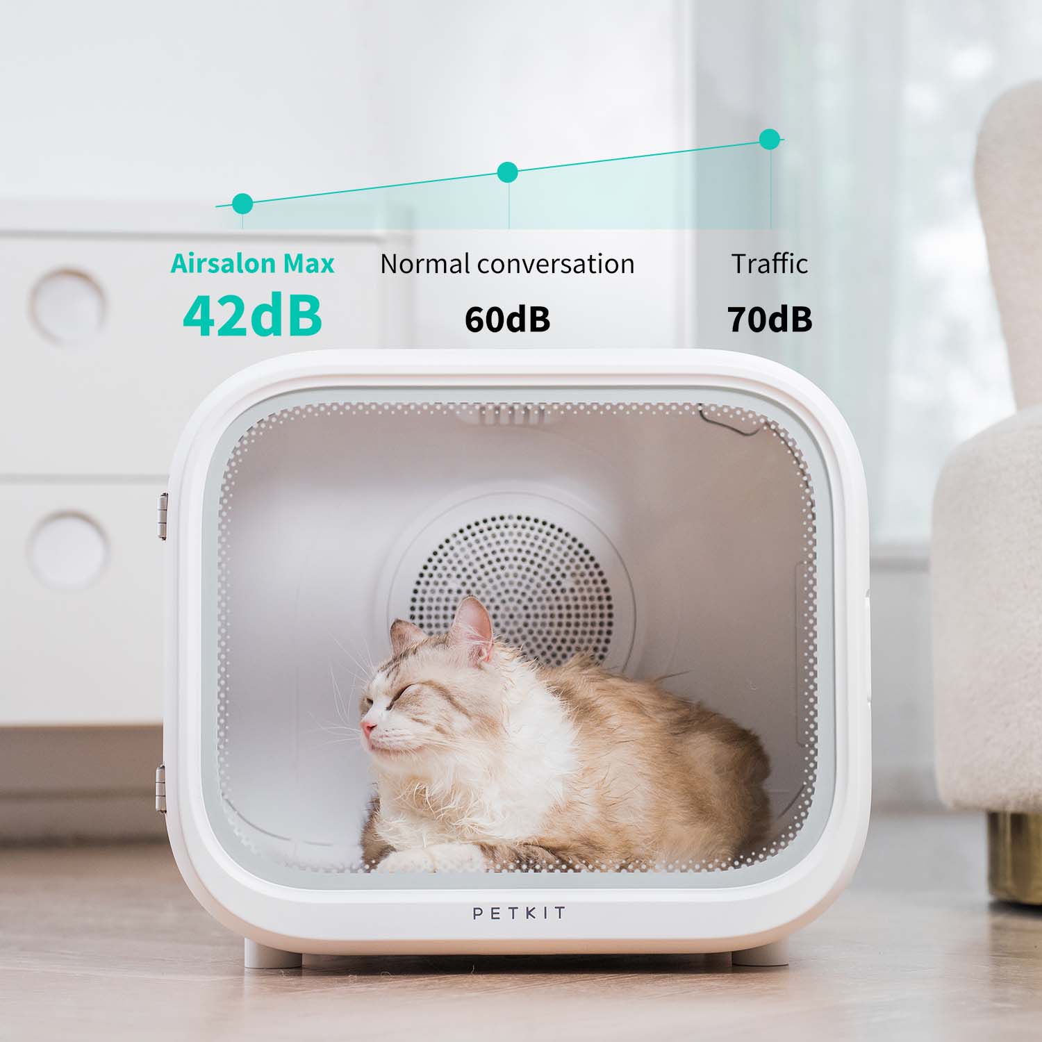 PETKIT - Vente Purificateur d'air - PETKIT AirSalon Max6