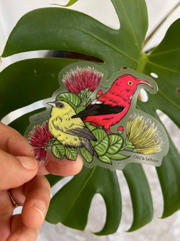 Adesivo trasparente con uccelli della foresta delle Hawaii, «Akeke'e & 'I'iwi» per la vendita all'ingrosso da parte di Island Stickers & More / Yuriko J. Design