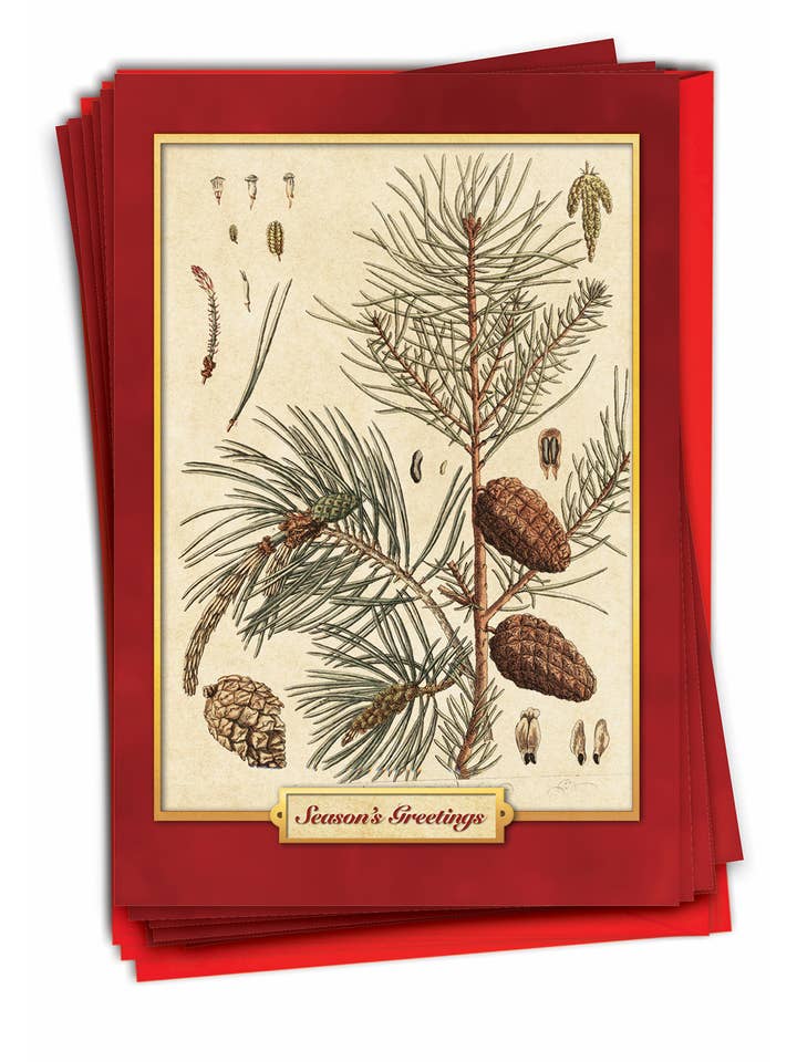 Boîte de 12 cartes de Noël - Pining For Christmas pour la vente par NobleWorks