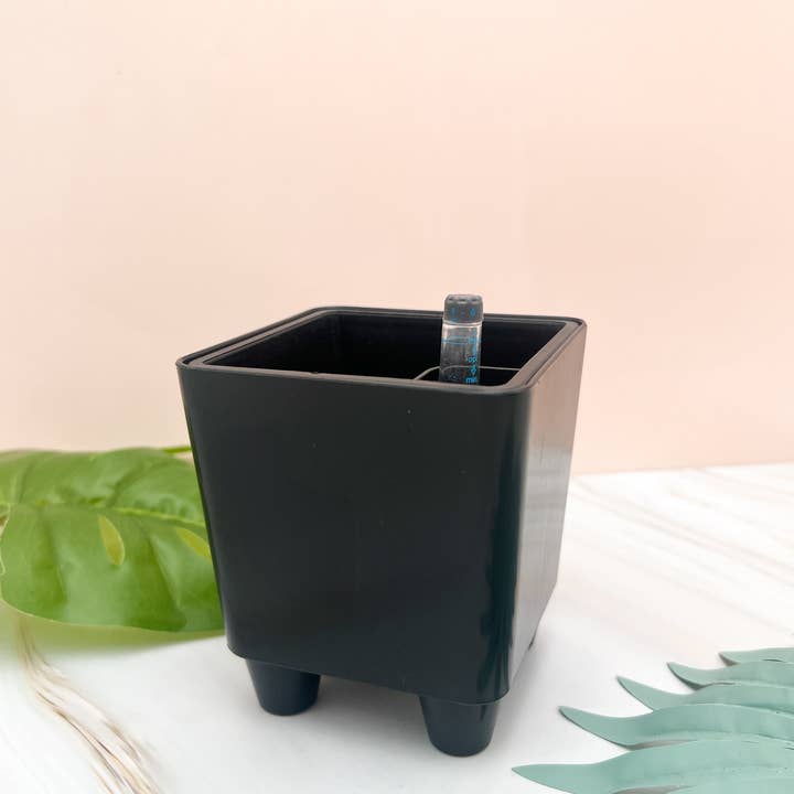 Propagation Diaries - Wholesale Plant Pot - 4" Self Watering Moo Pot2