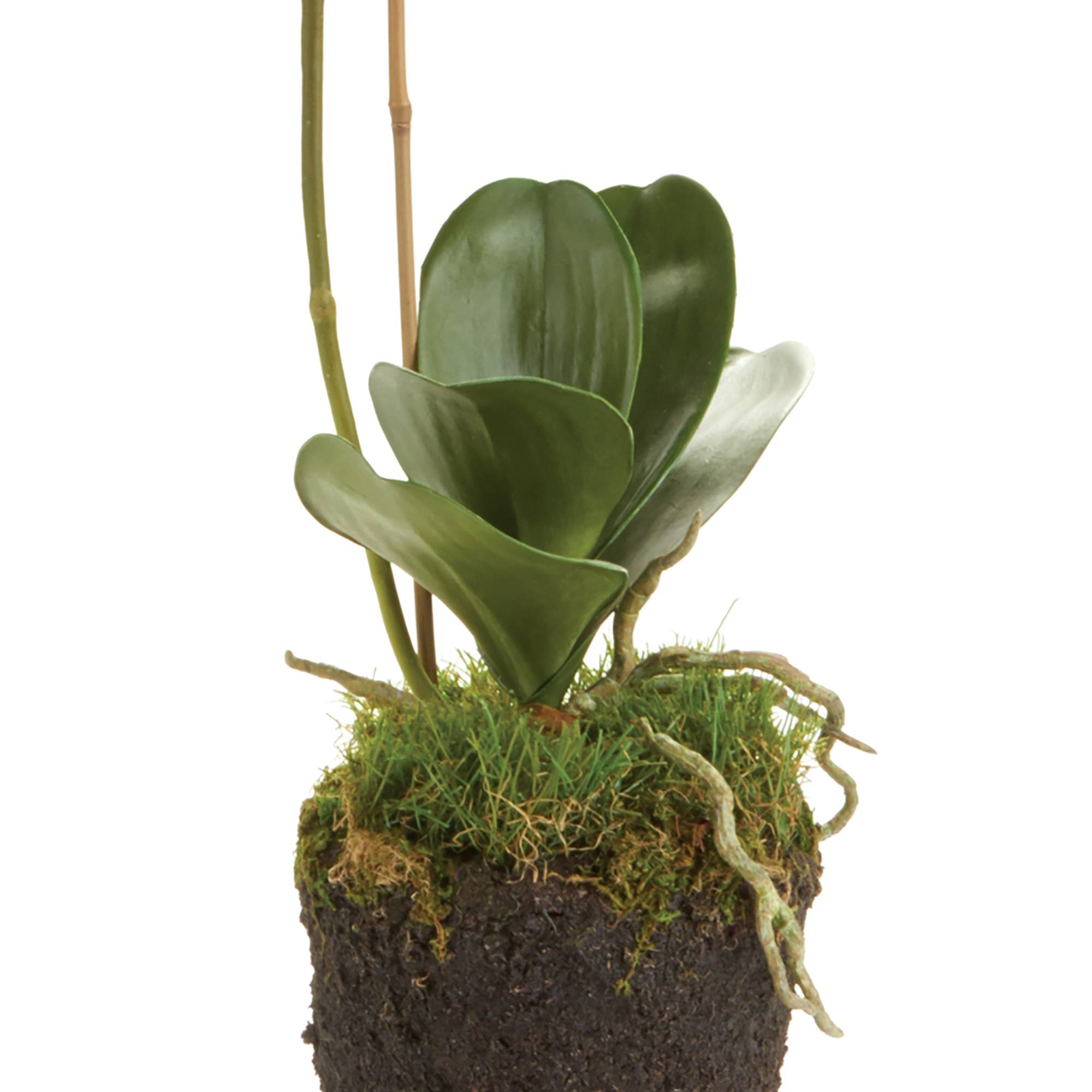 Napa Home & Garden - Wholesale Artificial Flowers - Phalaenopsis Orchid Drop-In 26"2