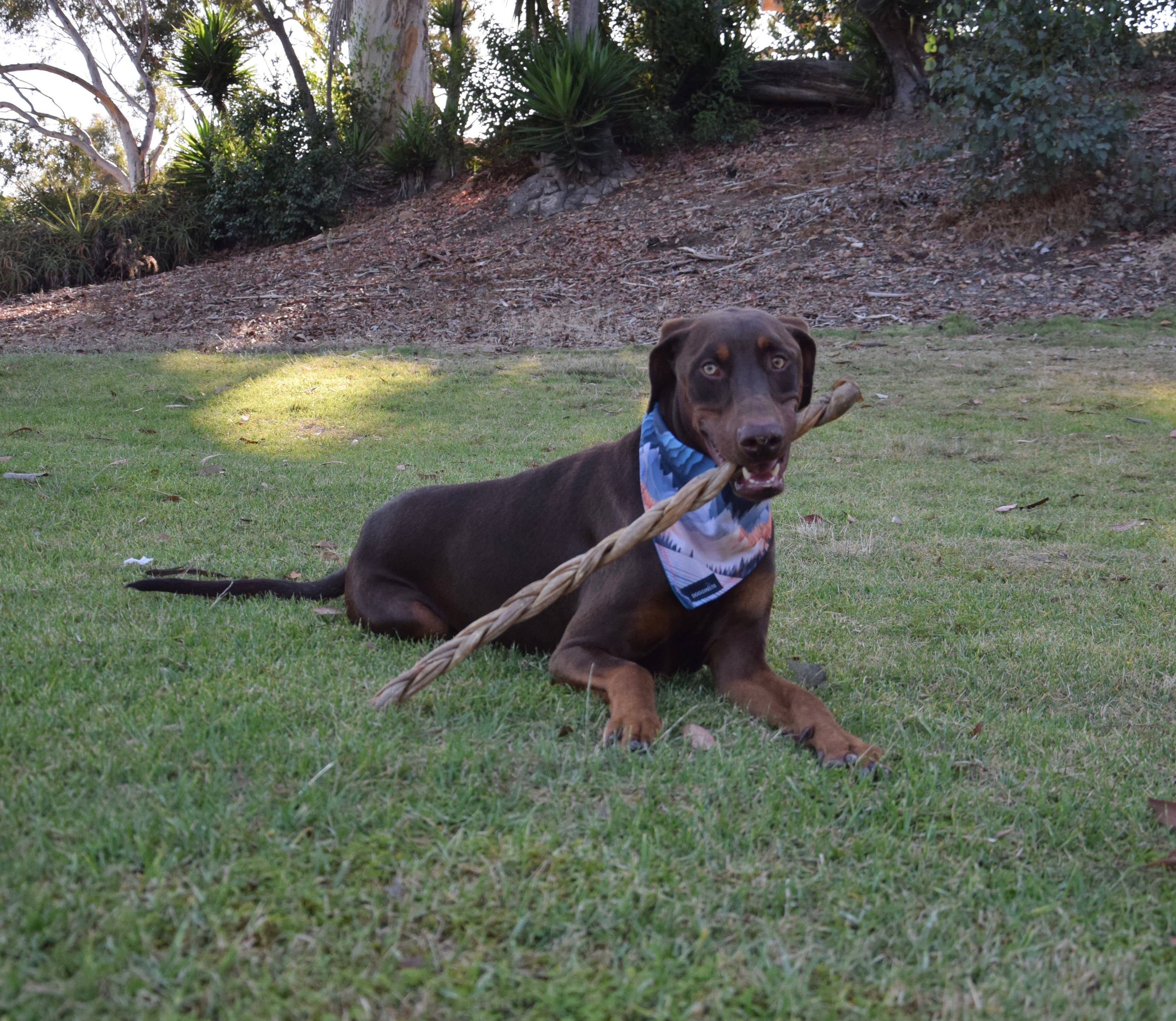 Dogginstix - Wholesale Pet Treats - Dog - 24" Braided Lamb Collagen Sticks 3