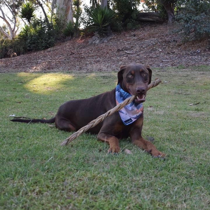 Dogginstix - Wholesale Pet Treats - Dog - 24" Braided Lamb Collagen Sticks 3