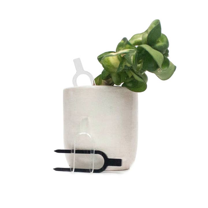 Pines de propagación para venta al por mayor de Growinshade