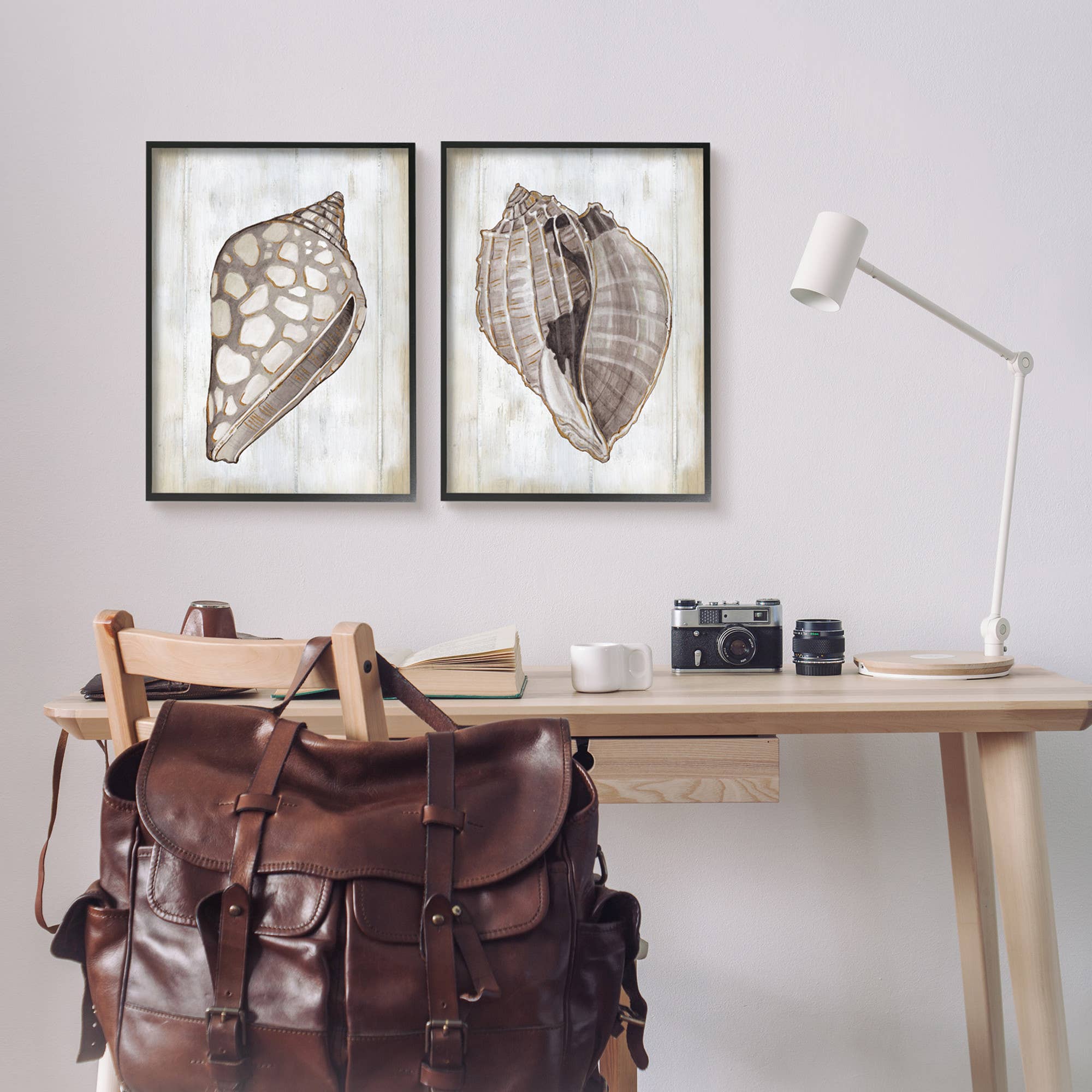 Stupell Industries - Wholesale Gallery Wall Set - Brown Nautilus Sea Shells 2pc Framed1